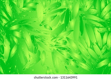 Bright green tropical  organic background. Natural texture of lush green leaves