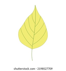 Bright green yellow leaf vector illustration. Minimalistic isolated summer foliage element