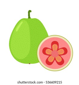 4,203 Guava fruit cartoon Images, Stock Photos & Vectors | Shutterstock