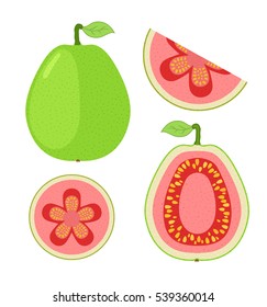 Bright guava fruit. Whole and slices in flat cartoon vector style. Exotic juicy fruit.