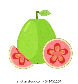 Bright guava fruit whole and slices in flat cartoon vector style. Exotic juicy fruit.
