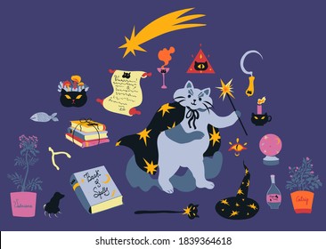 Bright Halloween cute wizard cat and his magical items vector illustration set