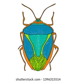 Bright hand drawn bug on white background