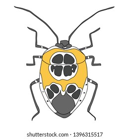 Bright hand drawn bug on white background