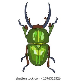 Bright hand drawn bug on white background