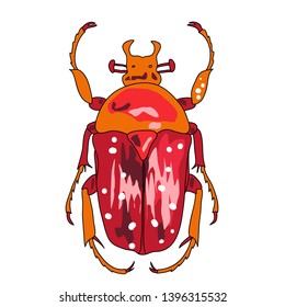 Bright hand drawn bug on white background