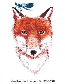 Bright hand drawn fox and dragonfly