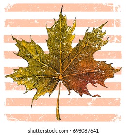 Hojas de arce dibujadas a mano brillante sobre fondo a rayas
