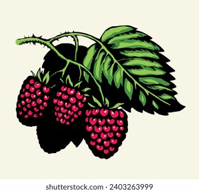 Bright hand drawn raw red razz twig floral farm emblem pictogram design retro art doodle outline print style. Close up view bio eco health dessert season farming flora light paper text space backdrop