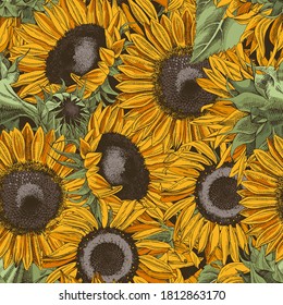 Bright hand drawn seamless pattern with sunflowers.