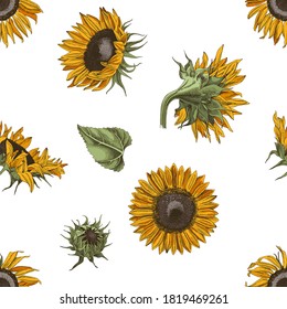 Bright hand drawn seamless pattern with sunflowers.