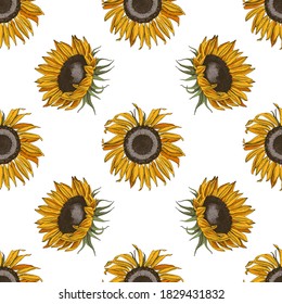 Bright hand drawn seamless pattern with sunflowers.