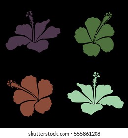 Bright hawaiian collection with four purple and green tropical hibiscus flowers.