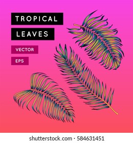 Bright Hawaiian design elements set. Tropical palm leaves collection. Jungle leaf vector. Floral graphics on pink background. Botanical illustration.