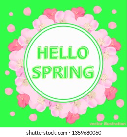Bright hello spring background. Background with beautiful colorful flowers. Vector illustration with green background.