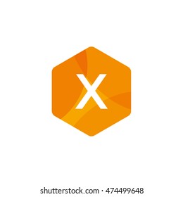 Bright Hexagon Letter X Vector
