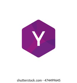 Bright Hexagon Letter Y Vector