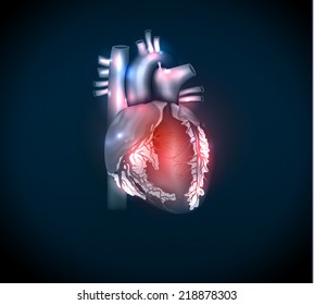 Bright human heart on a blue background
