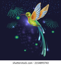 Colibrí brillante en un fondo oscuro Ilustración vectorial 