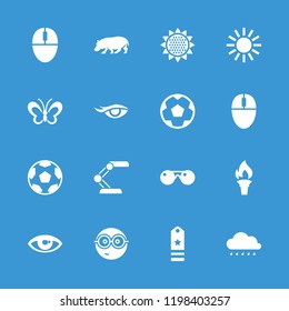 Bright icon. collection of 16 bright filled icons such as hippopotamus, nerd emoji, movie tape, mouse, torch, rank, sun, sunflower. editable bright icons for web and mobile.