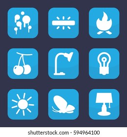 bright icon. Set of 9 filled bright icons such as cherry, butterfly, sun, bulb, table lamp, camera, bonfire