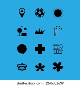 bright icon set about sun, candy cane, football ball and petal vector set