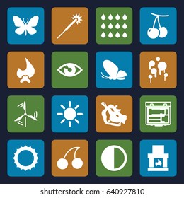 Bright icons set. set of 16 bright filled icons such as cherry, butterfly, hippopotamus, cherry, sparklers, sun, camera, brightness, drop, mill, blood, eye, fireplace