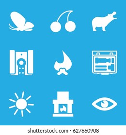 Bright icons set. set of 9 bright filled icons such as hippopotamus, butterfly, sun, Cherry, eye, camera, fireplace