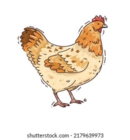 Bright illustration of chicken. Cute vector illustration for kids prints, greeting cards, poster. Doodle character