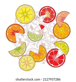 Bright illustration of grapefruit fruit.