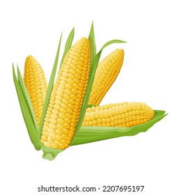 Bright illustration of a group of four different ears of corn with green leaves. Design element and food and agriculture theme.