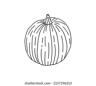 A bright illustration of pumpkins in a flat style. Cute vegetables are perfect for decorating autumn holidays, Halloween, healthy food, office supplies