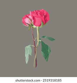 bright illustration of two pink roses, one in full bloom and one in bud, with green leaves on a muted gray background. This vector illustration design emphasizes simplicity and elegance.