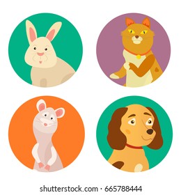 Bright images of domestic animals cat, rabbit, dog and rat. Can be used for pet shops, clinics or pet food advertising.