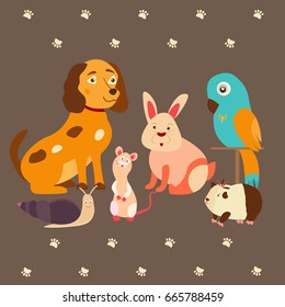 Bright images of domestic animals cat, parrot, dog, snail, rabbit and guinea. Can be used for pet shops, clinics, pet food advertising.