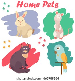 Bright images of domestic animals cat, parrot, rat and rabbit. Can be used for pet shops, clinics, pet food advertising.