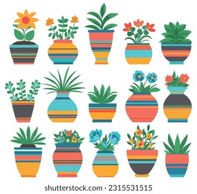 Bright indoor plants and flowers in decorative pots.