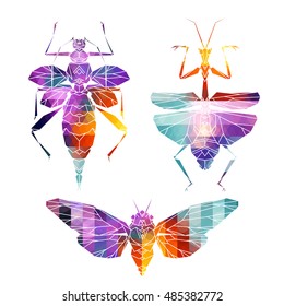 Bright insect icons, vector set. Abstract triangular style. Mantis, moth, beetle