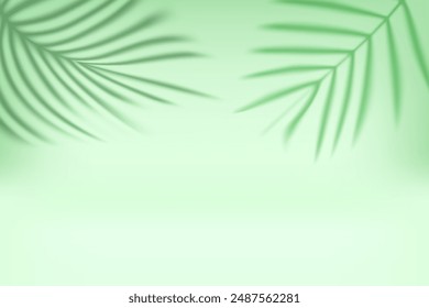 Interior luminoso con sombra de hojas verde palma en la pared. Ilustración vectorial 3d 