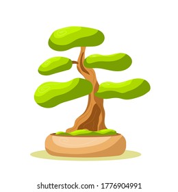 El brillante árbol aislado de bonsai en la olla. Árbol pequeño. Vector aislado. Fondo blanco. Estilo plano