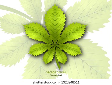 Bright isolated horse chestnut leaf on a white background. Vector illustration for your design.