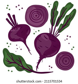 Bright juicy beets of different sizes with leaves, pulp and slices. Vector illustration isolated on a white background.