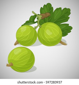 Bright juicy gooseberry on grey background. Sweet delicious for your design in cartoon style. Vector illustration. Berries Collection.