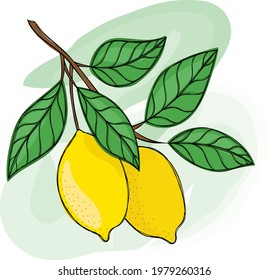 Bright juicy lemon with twigs