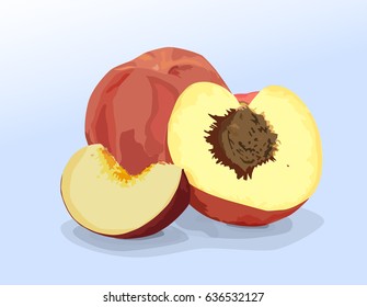 Bright juicy peach in vector
