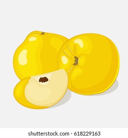 Bright juicy quince on grey background. Sweet delicious for your design in cartoon style. Vector illustration. Fruit Collection.