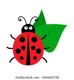 Bright ladybug with leaves icon isolated on white background. Vector illustration