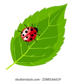 Bright ladybug resting on a green leaf in a simple vector illustration