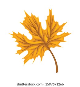 Bright Leaf Element Isolated on White Background Vector Element