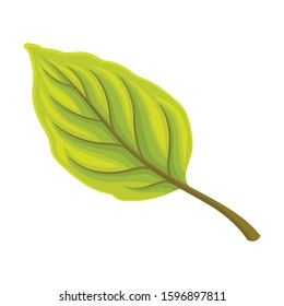 Bright Leaf Isolated on White Background Vector Element